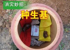 種生基禁忌|解玄机10：种生基最大禁忌：死人、坏人不适合 